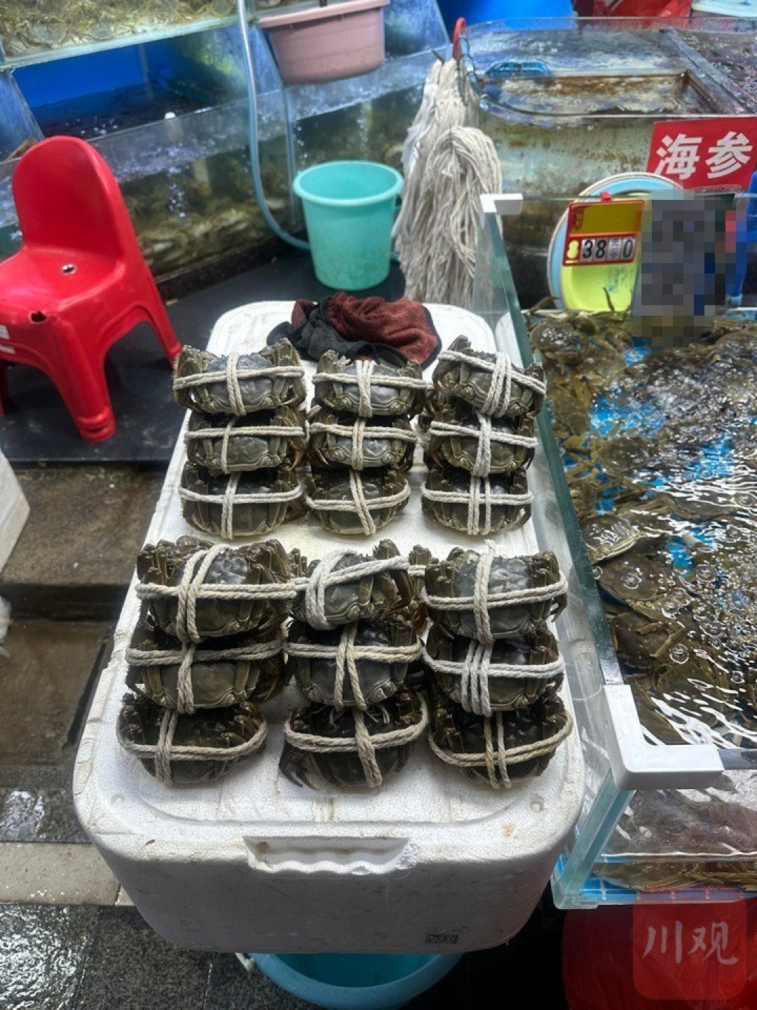 蟹丰收了,蟹卡却先“挤兑”了:3600条投诉,这笔账该算谁头上