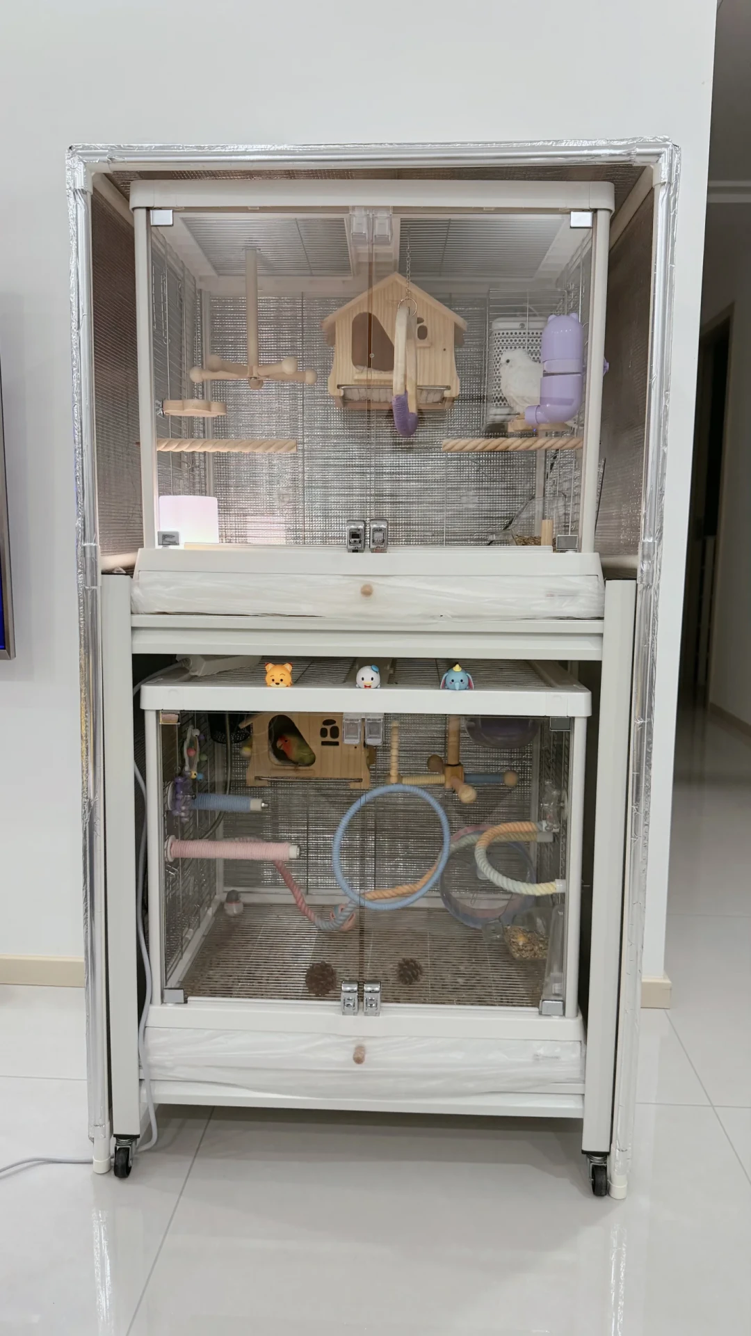 别急着给鸟买保温箱:10℃、40块、留一半,三笔账算清鸟怎么过冬
