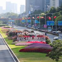 深圳APEC周不放假，但3小时2万粤B车主抢着把车停家里