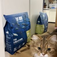 双11囤猫粮,我先看工艺再看价