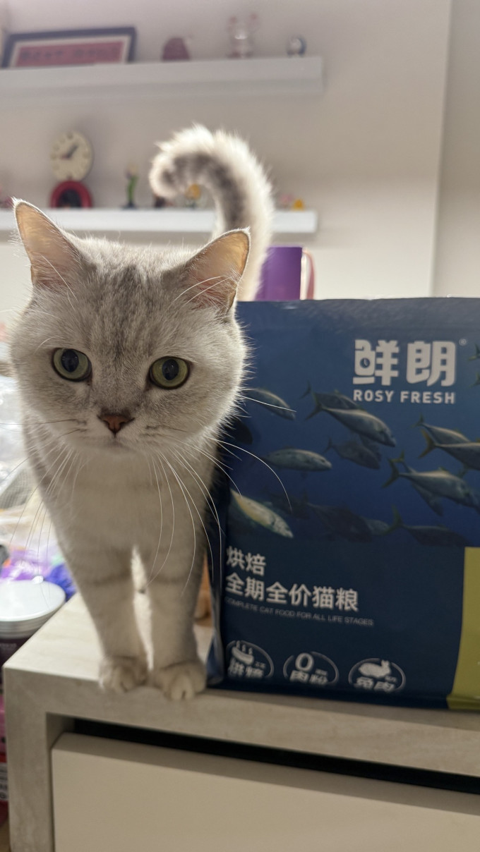 鲜朗猫粮