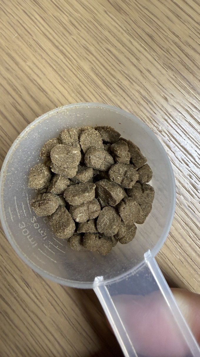 鲜朗猫粮