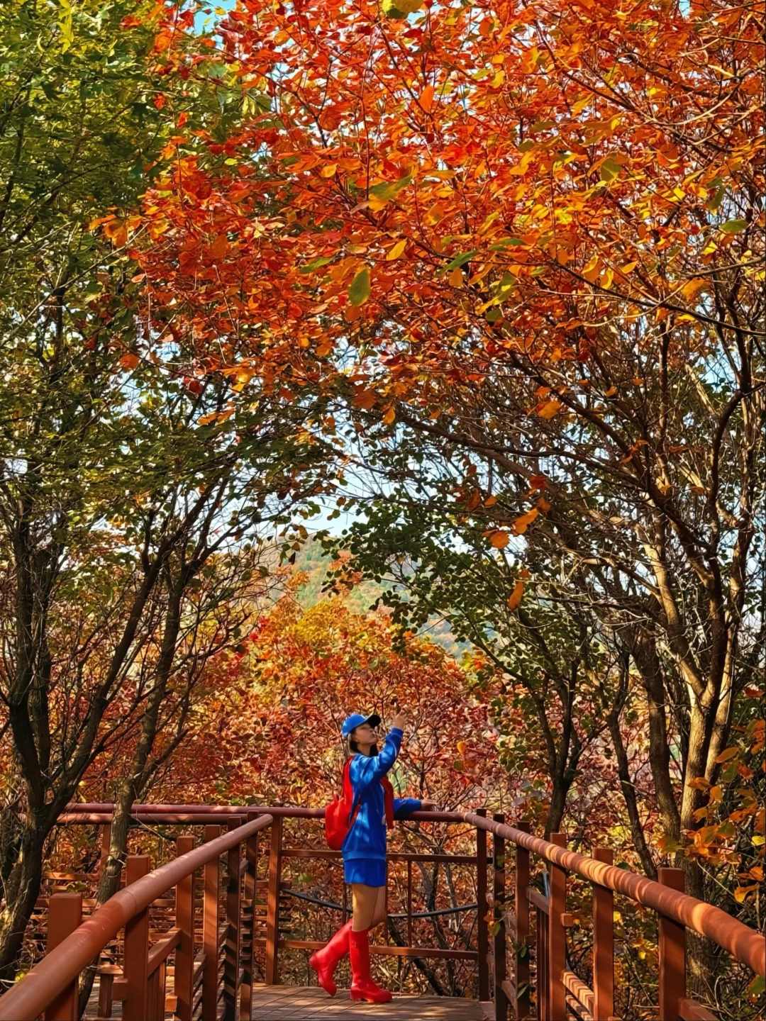 双11户外装备作业：鞋要花、壳将就和别交