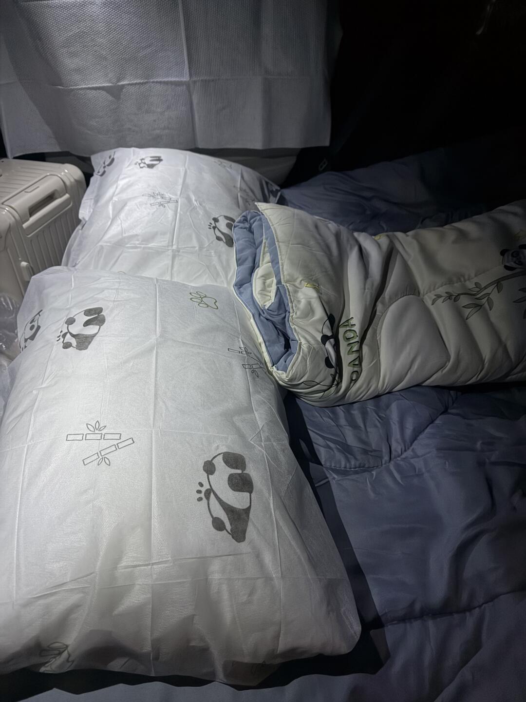 床车过冬先算取暖账:柴暖吹“2升油一夜”、装机党实测每小时3.7L,电热毯一夜0.6度——零下过夜的三派选择,这篇直接给答案