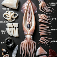 标题：海鲜干货｜整只鱿鱼拆分教程，一看就会