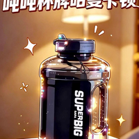 吨吨牌哈曼卡顿音箱
