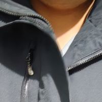 双十一三合一冲锋衣解决换季穿衣难题