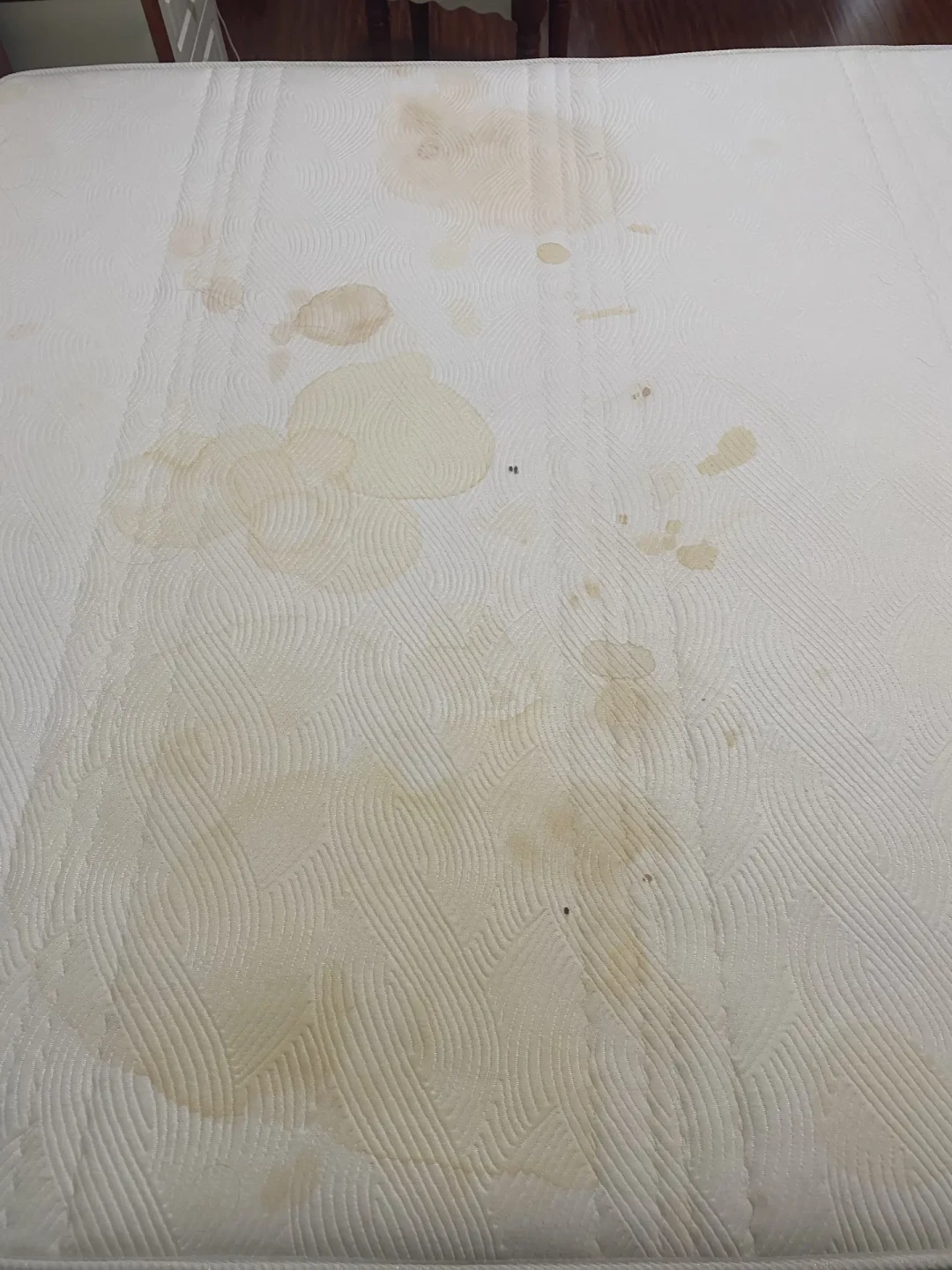 租房第一夜不敢躺床垫？别急着全屋消毒，这5步先收藏