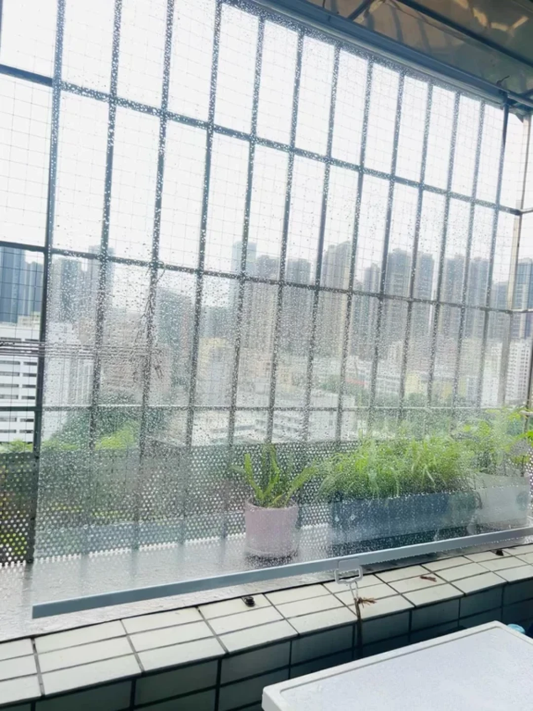 寒潮砸下来,没封的阳台最遭罪:从100元门帘到3000元卷帘,我把三档方案的钱该花在哪算清了