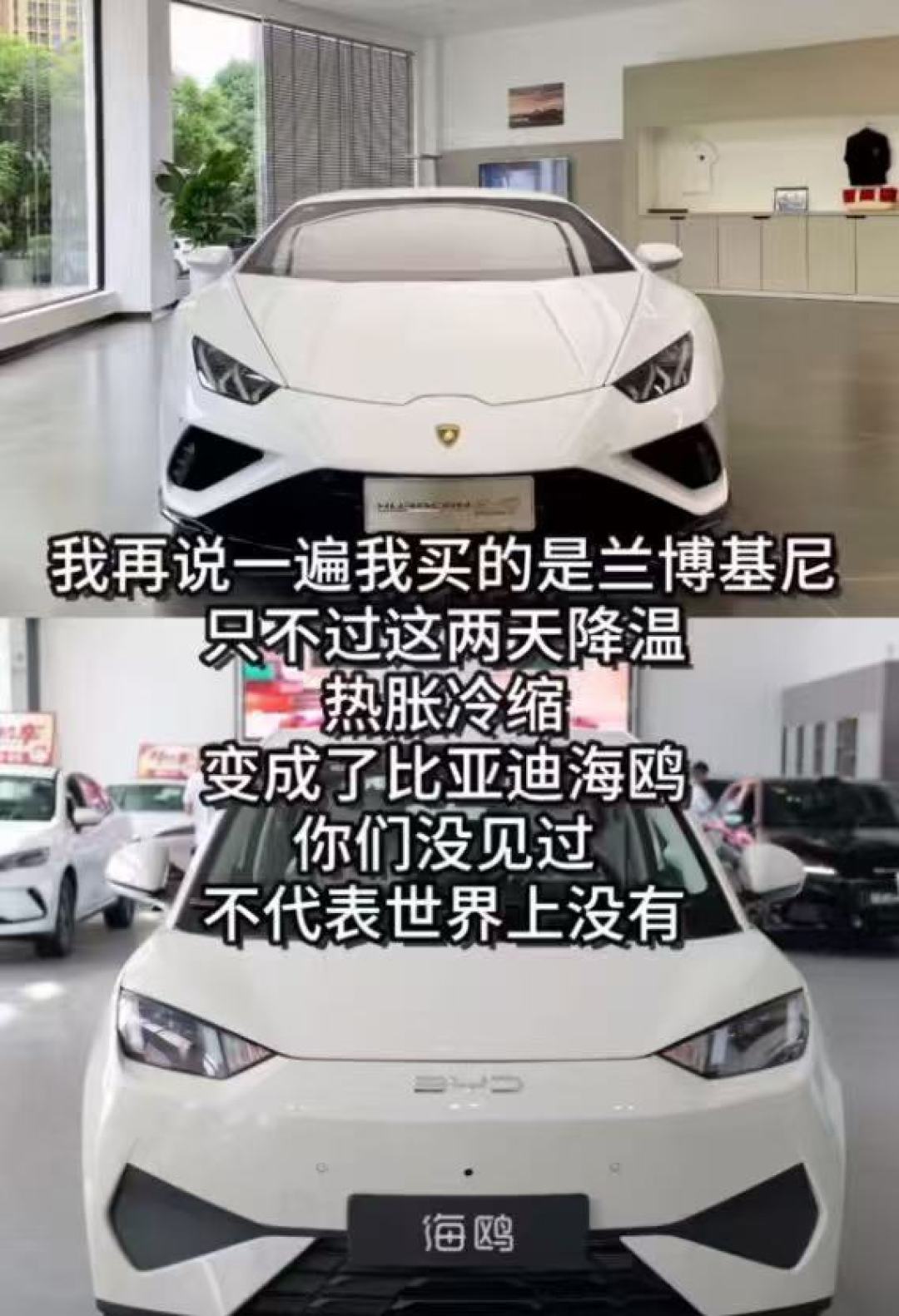 尺寸暴涨!比亚迪新一代海鸥太超标了,还只要 6.59 万元