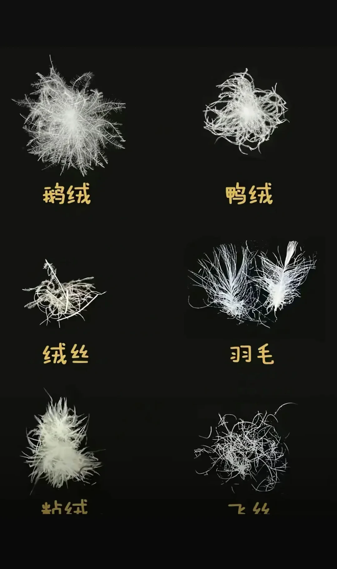 1000蓬211克vs700蓬294克：零下20度，谁先打哆嗦
