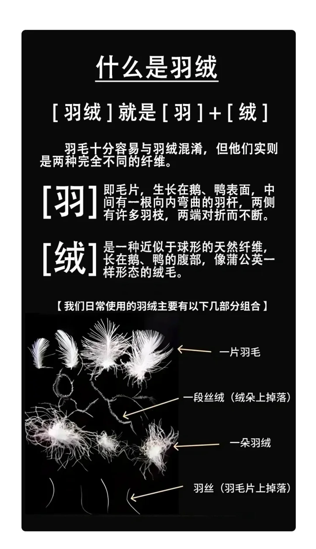 1000蓬211克vs700蓬294克：零下20度，谁先打哆嗦