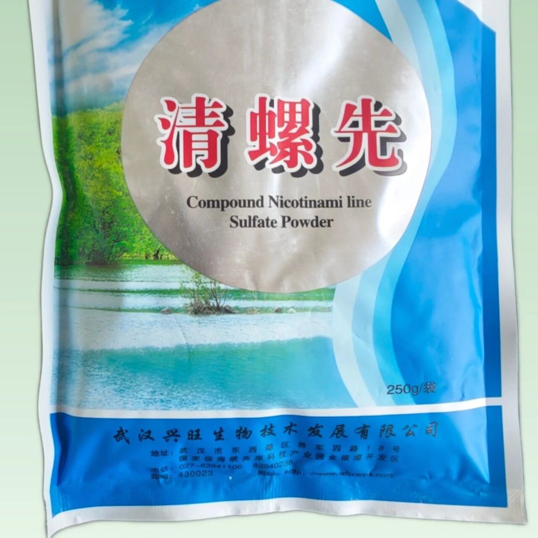 鱼缸爆螺先别急着下药:先分清是哪种螺,再定处理顺序