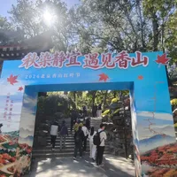 赏秋徒步最贵的不是装备，是"去错日子"：我汇总了全国彩林实况，帮你把周末的决定做一半