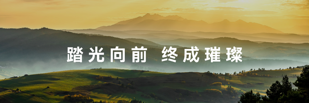 华为“拼好网”来了：4台手机组团提速，这3个问题先看清