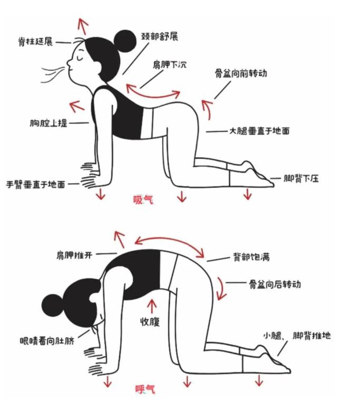 久坐站起来腰发直?30 秒自查加 3 个动作,每天 10 分钟