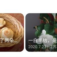 你网盘里的“电子冷宫”：几百G存课一节没看，续费前先把资料分成三堆