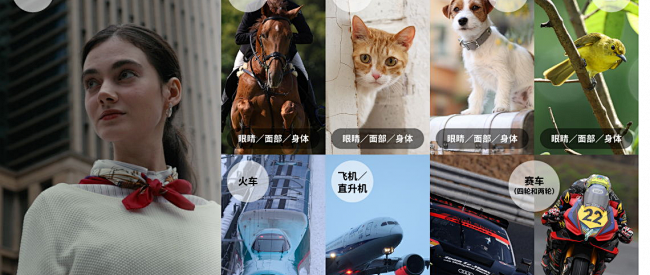 婚礼跟拍照片视频要兼顾？自动对焦靠谱、弱光干净全画幅微单盘点