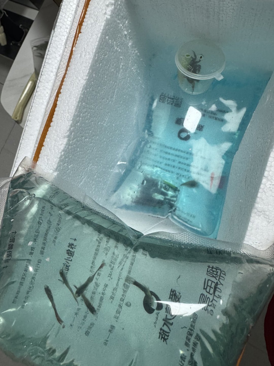 AI假退款瓜炸了:以后网购鱼的开箱视频,请按这个标准拍