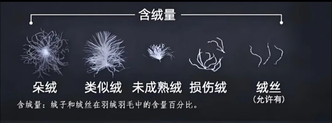还在按「含绒量90%」挑羽绒服?国标四年前就退役了这个词