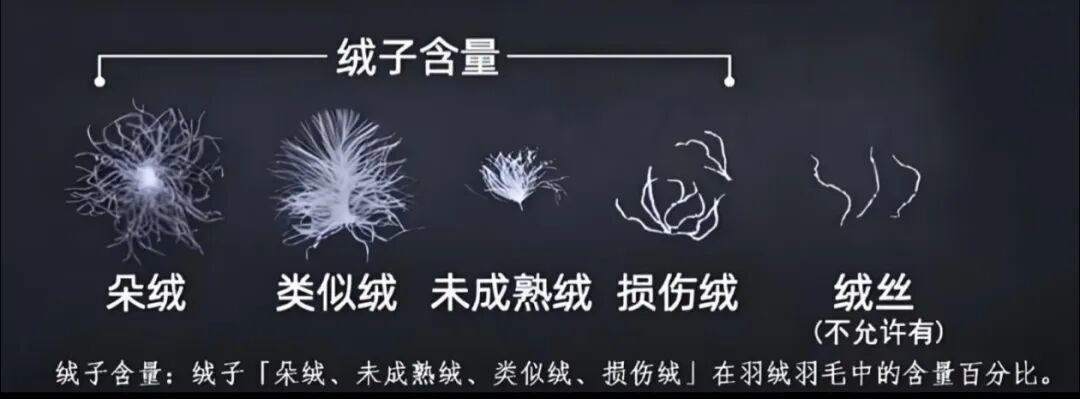 还在按「含绒量90%」挑羽绒服?国标四年前就退役了这个词