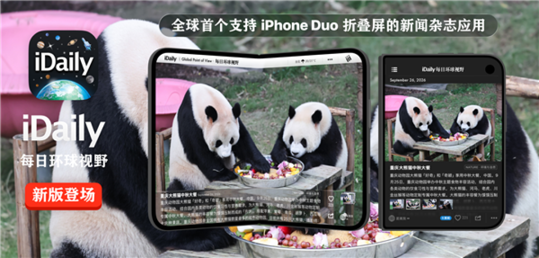 iDaily：全球首个支持iPhone Duo的新闻杂志应用