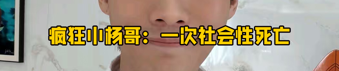 宠物经济,未老先衰