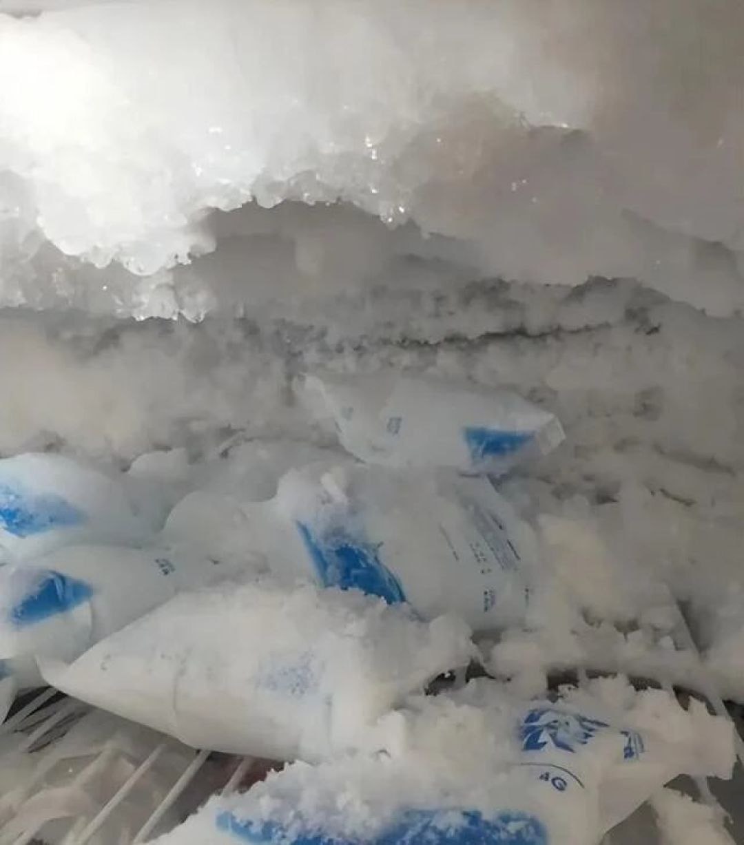 一万块的冰箱和三千的寿命都是10年!新国标落地后,旧一级能效机成了清库存