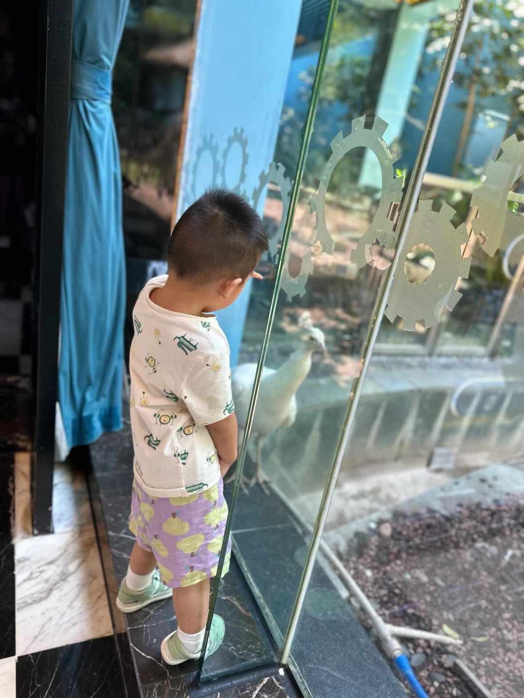孩子住进童话,家长住进快捷:长隆熊猫酒店实测
