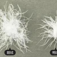148、320、600、999：都叫「中戏羽绒服」，正版只认「中戏文创」