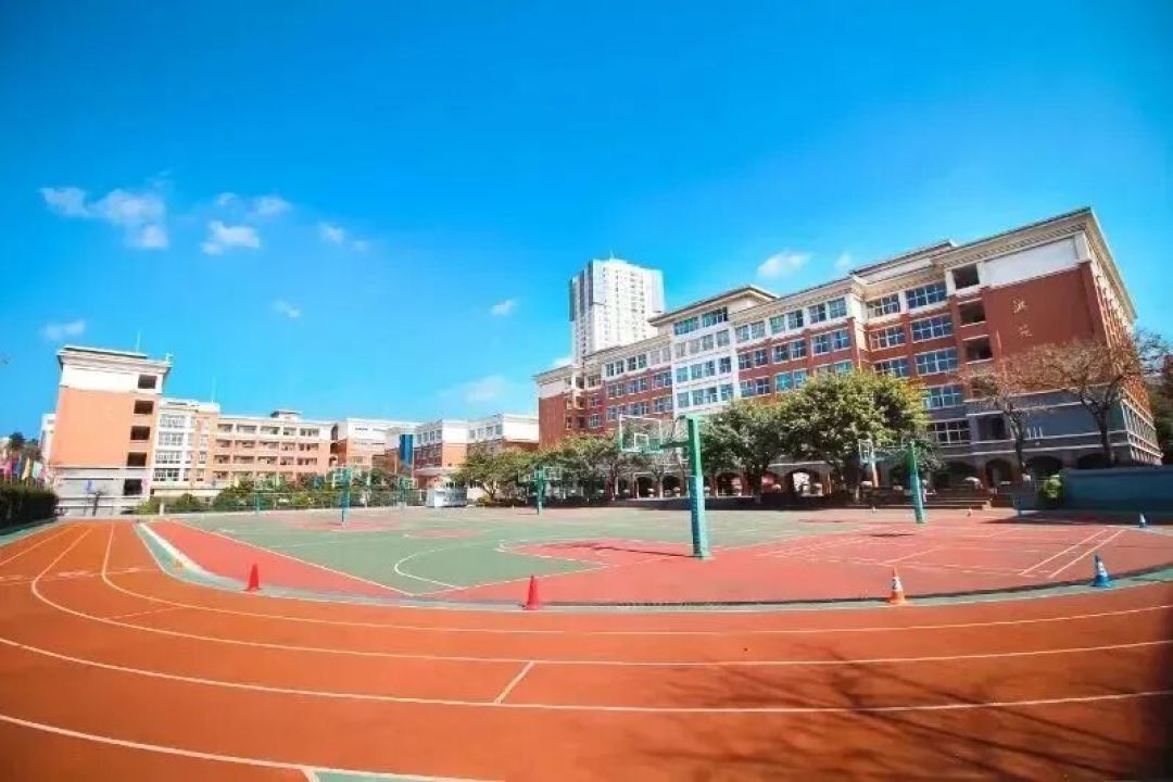 11月的遛娃淡季没了:秋假带娃出门,先避开这波人