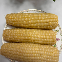 农科玉东北白甜糯玉米🌽