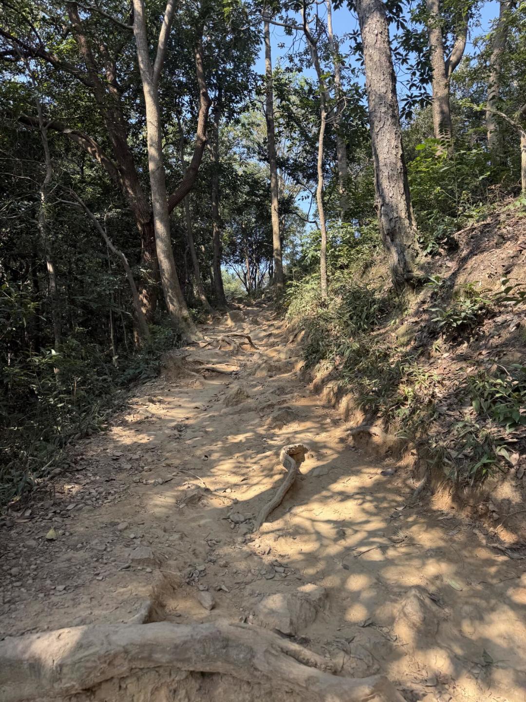 杭州标毅线又有人失温：人在冻死前，为什么会觉得热