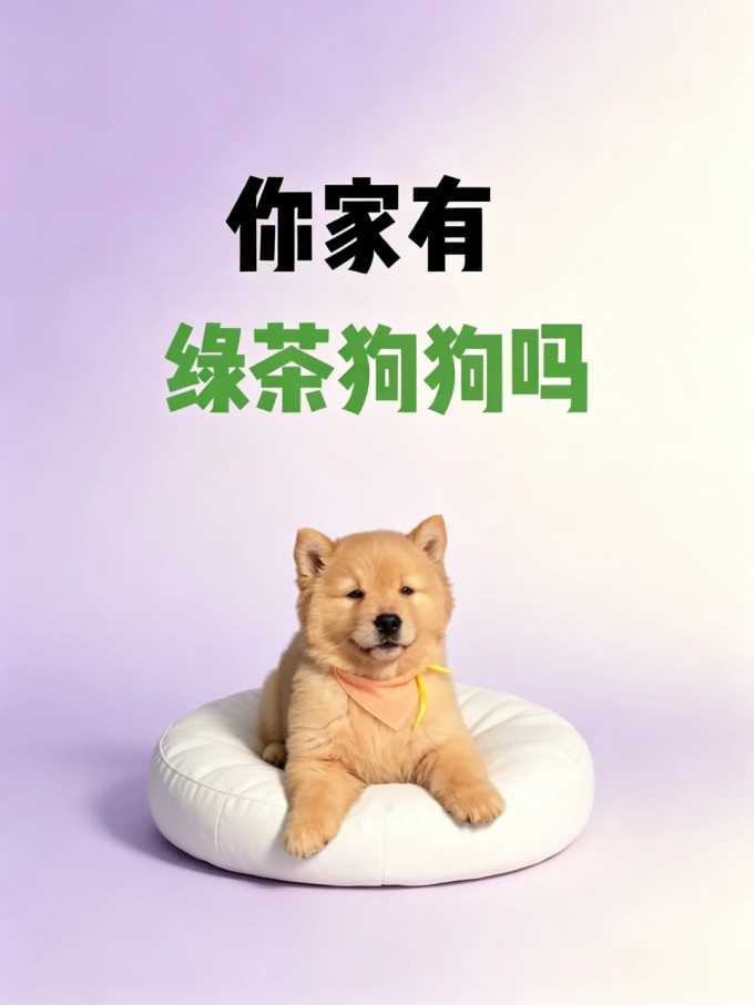 狗狗