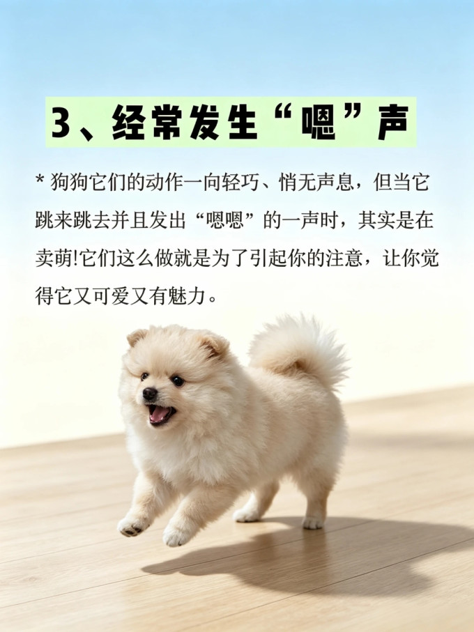 狗狗