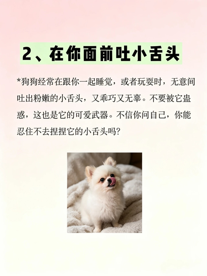 狗狗