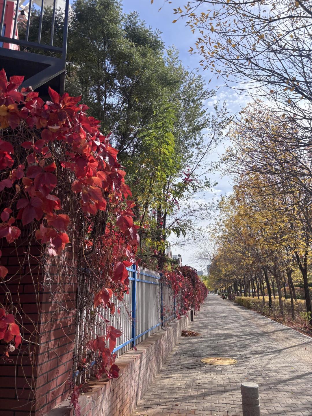 鄂尔多斯30日-8℃,周末还有12℃:去之前先换攻略
