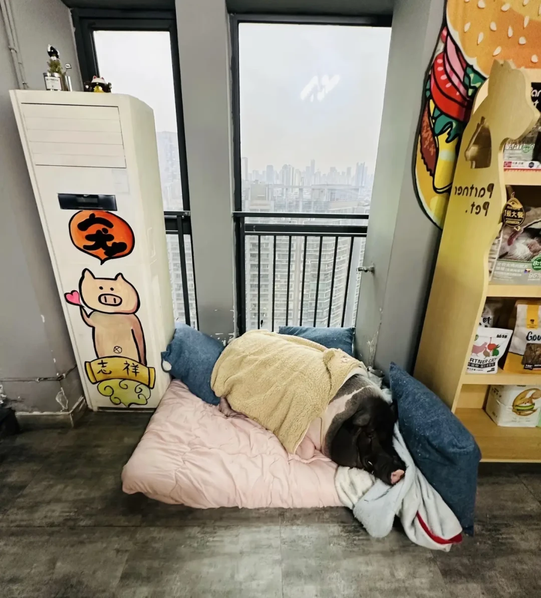 谢帝买到的