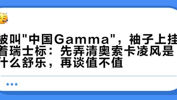 被叫中国Gamma，袖子上挂着瑞士标：先弄清奥索卡凌风是什么舒乐，再谈值不值