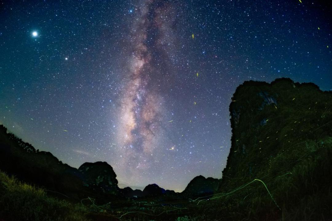 水星在天蝎掉头，金星退回天秤：今年最后一次双逆，先别急着复合