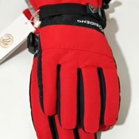 原价199元，捡漏到手价9.9元，波司登极寒手套，做工用料非常好，双11还是有好价