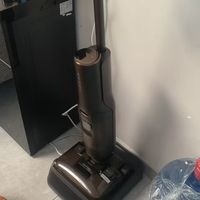 养宠物家庭为何首选石头