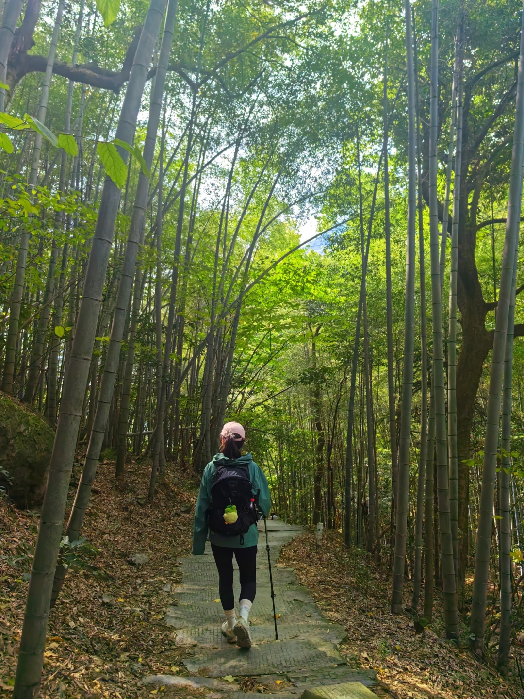 一边封山一边加码:今秋走古道,先看清罚单和那张新开的名录