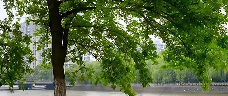 给我妈挑蛋白粉这两年，我搞懂的几件事