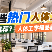 有哪些性价比高的人体工学办公椅值得入手？十大品牌推荐。