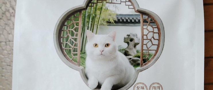 回购3次我家玻璃胃猫咪不再反复软便了长期喂养记录