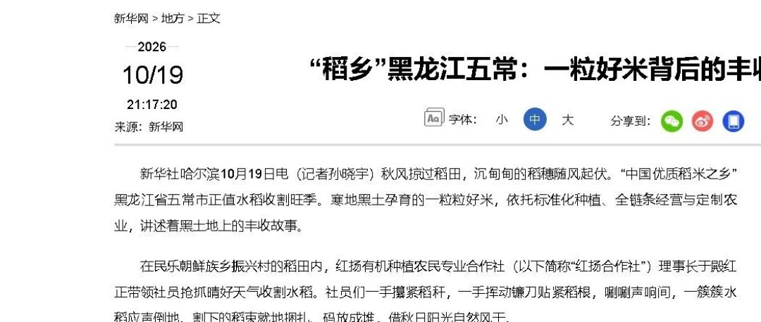 年产70万吨,卖出1000万吨:你买的“五常大米”九成是替身?