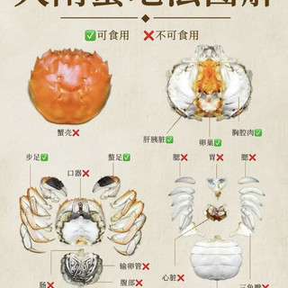 大闸蟹吃法图解