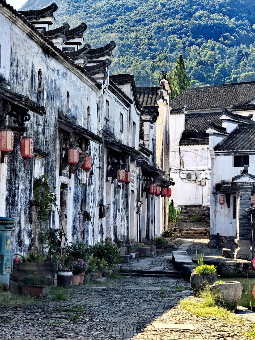 免门票+银杏季，带娃去建德：3天2晚路线和账排好了