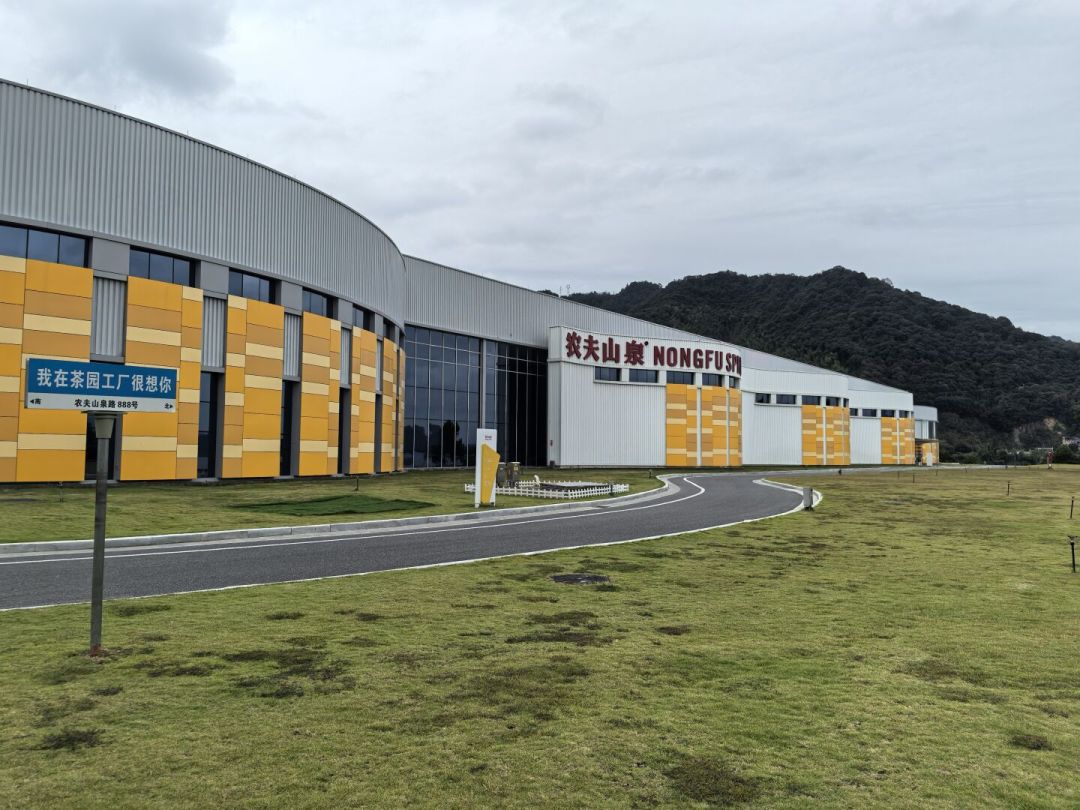免门票+银杏季，带娃去建德：3天2晚路线和账排好了